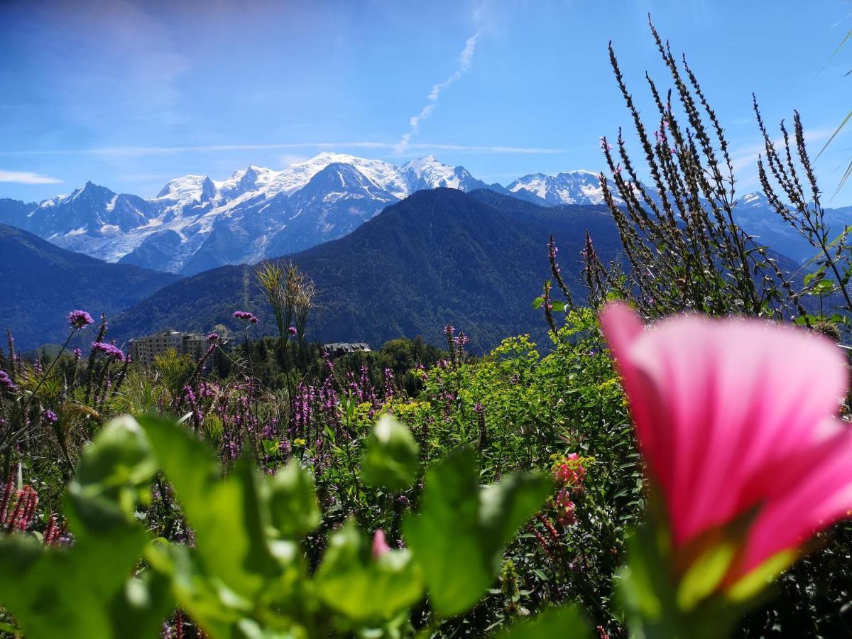 Duo Des Alpages Vue Exceptionnelle Sur Le Mont Blc Lägenhet Saint-Gervais-les-Bains Exteriör bild