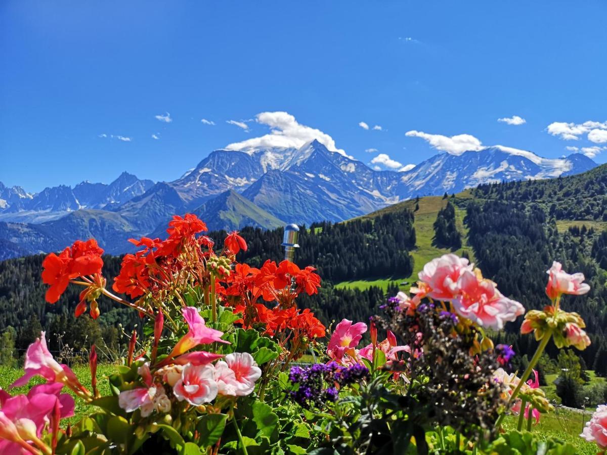 Duo Des Alpages Vue Exceptionnelle Sur Le Mont Blc Lägenhet Saint-Gervais-les-Bains Exteriör bild