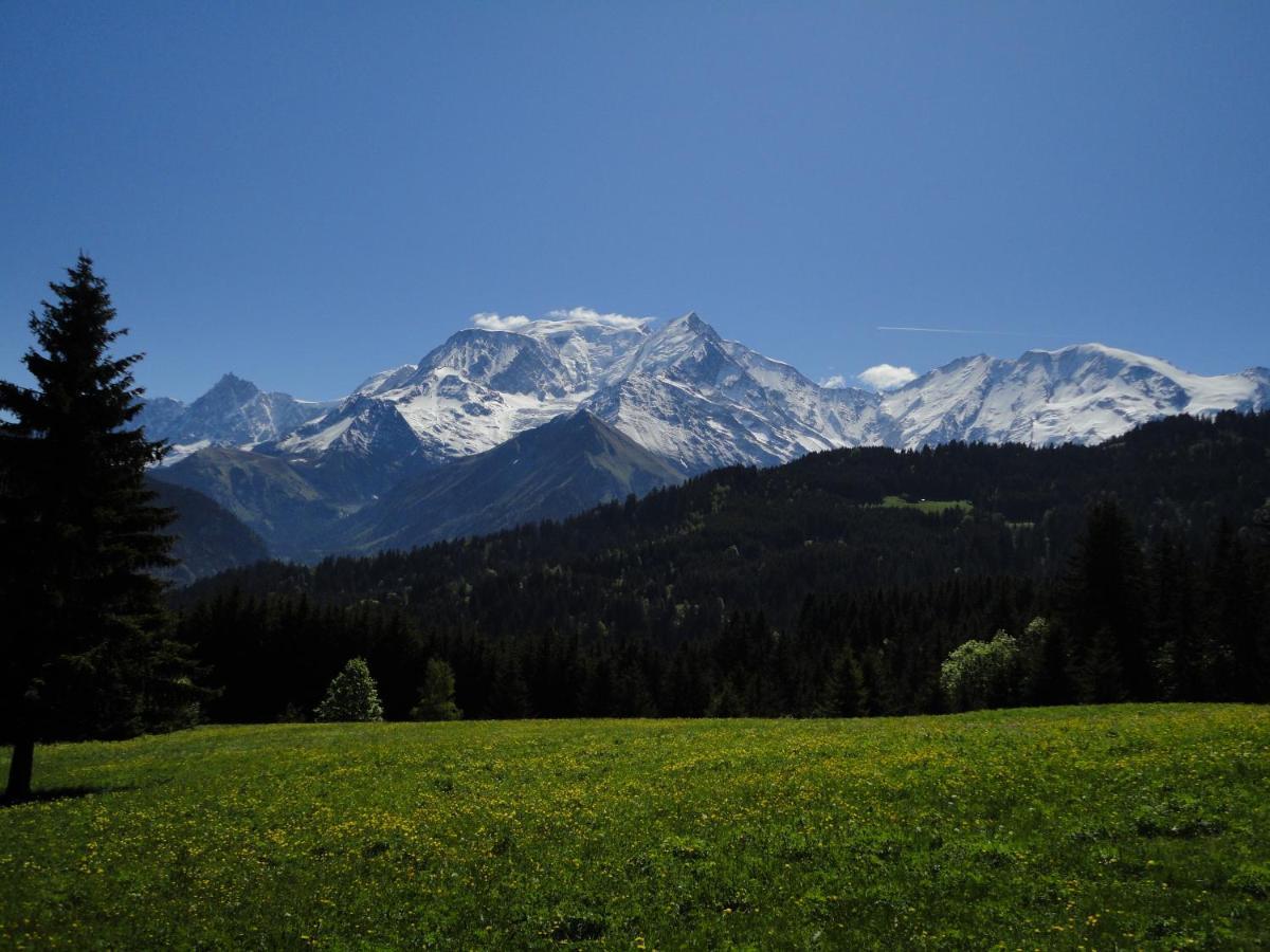 Duo Des Alpages Vue Exceptionnelle Sur Le Mont Blc Lägenhet Saint-Gervais-les-Bains Exteriör bild