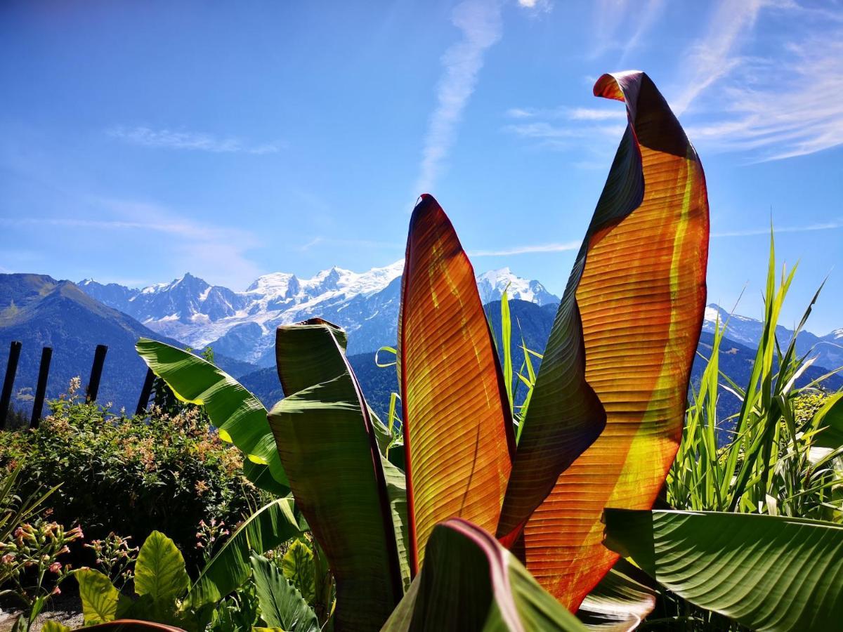 Duo Des Alpages Vue Exceptionnelle Sur Le Mont Blc Lägenhet Saint-Gervais-les-Bains Exteriör bild