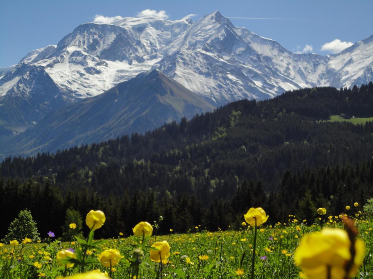 Duo Des Alpages Vue Exceptionnelle Sur Le Mont Blc Lägenhet Saint-Gervais-les-Bains Exteriör bild