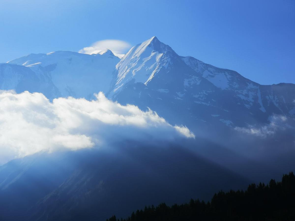Duo Des Alpages Vue Exceptionnelle Sur Le Mont Blc Lägenhet Saint-Gervais-les-Bains Exteriör bild